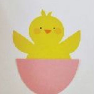 Meet your Posher, Josalynn